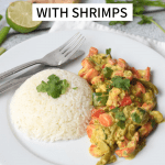 low FODMAP yellow curry