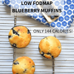 low fodmap blueberry muffins EN