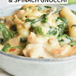 Low FODMAP chicken and spinach gnocchi