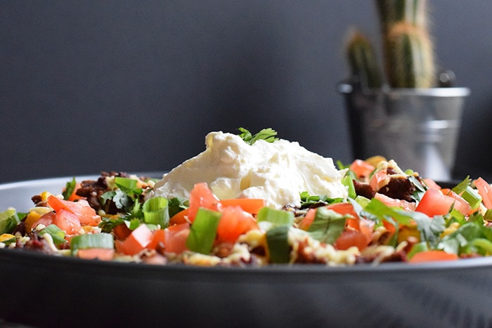 A dish with low FODMAP nachos photographed from the side