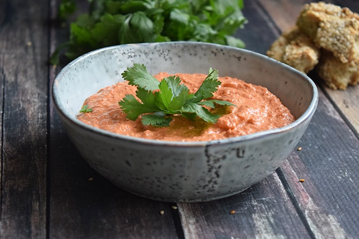 low fodmap muhammara in a bowl photographed from the side