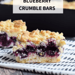 low fodmap blueberry crumble bars