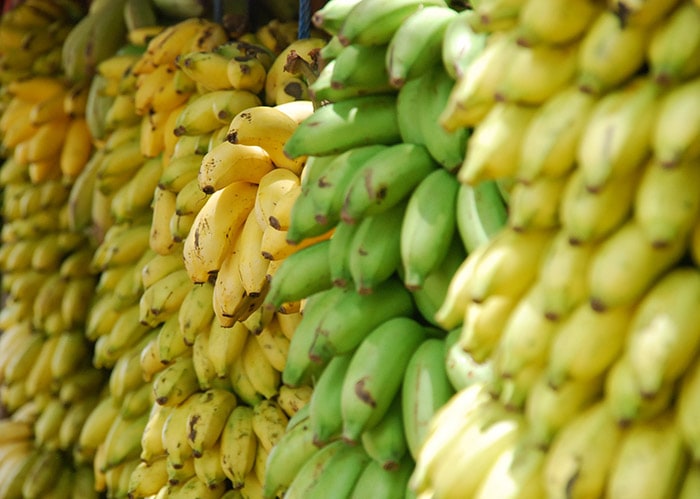 monash university app update - zijn bananen hoog in fodmaps - karlijnskitchen.com