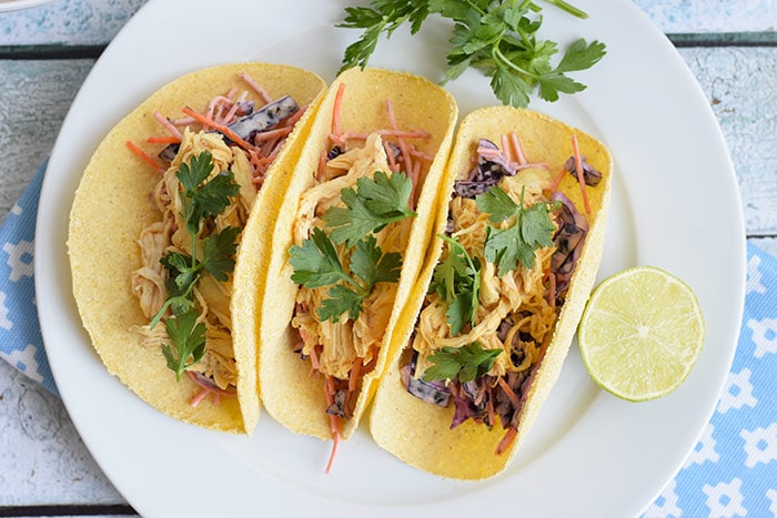 low FODMAP pulled chicken tortillas on a plate photographed from above