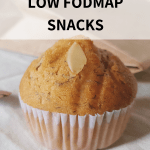 freezer-friendly low fodmap snacks