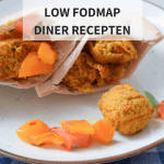 snelle low fodmap recepten