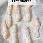 Gluten-free lady fingers