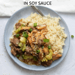 Low FODMAP beef with broccoli and rice in soy sauce