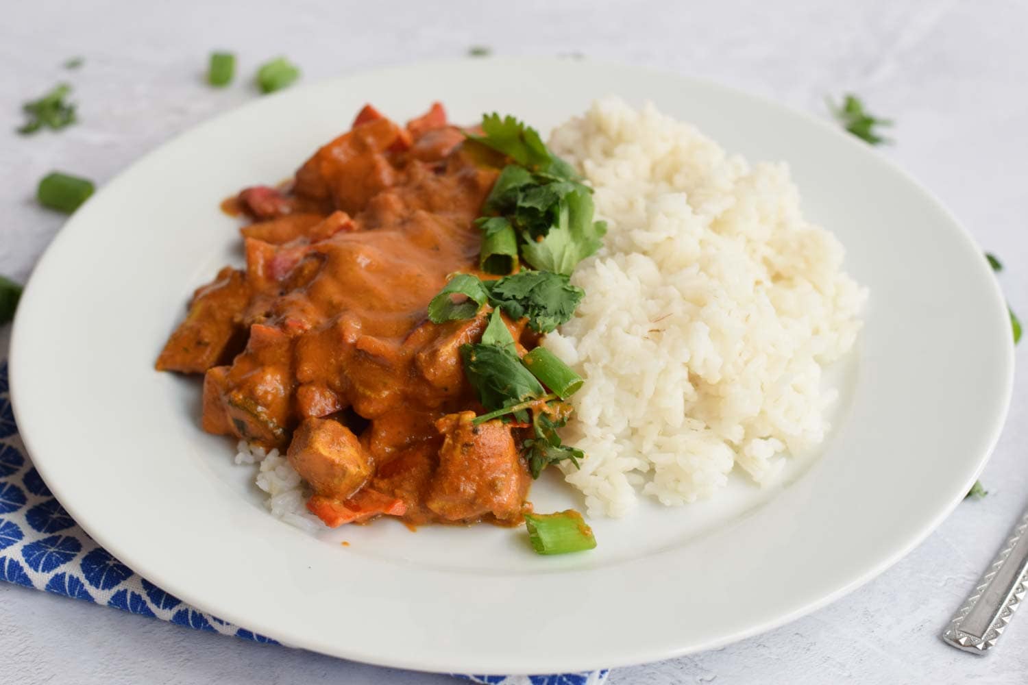 A plate with low FODMAP chicken tikka masala with rice and spring onion in the middle