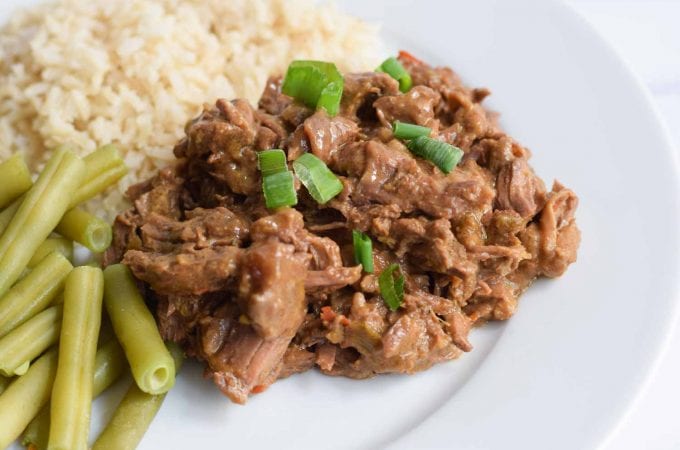Low FODMAP rendang with spring onion