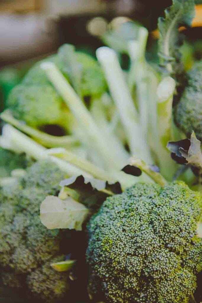 Verschillende broccoli's bij elkaar
