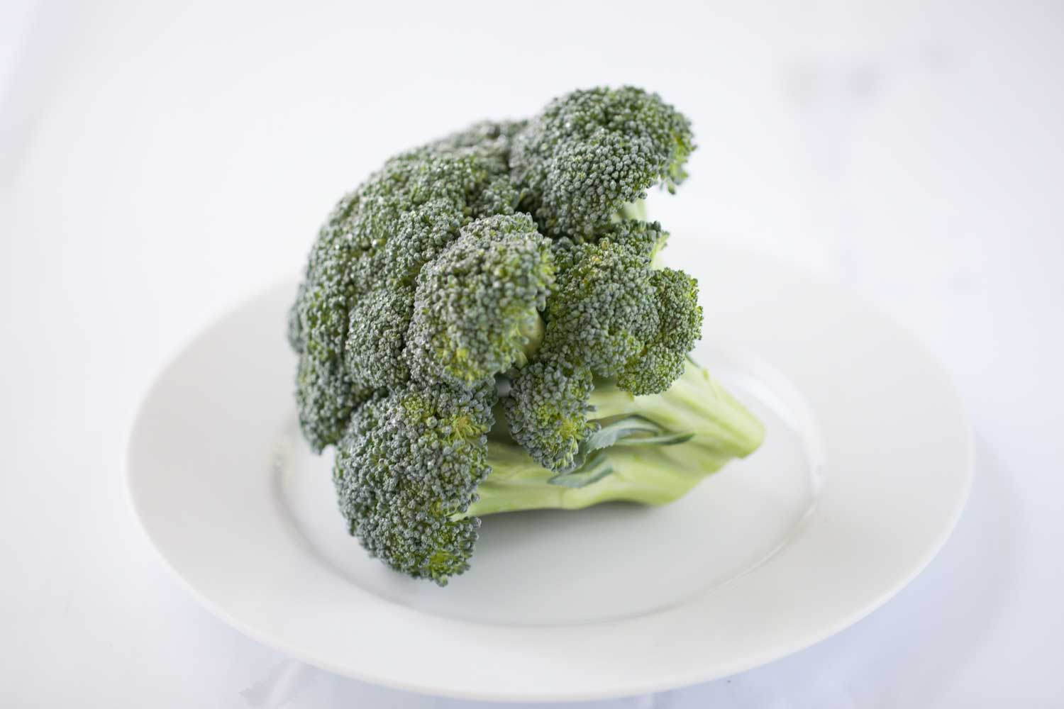 A stalk of broccoli on a plate