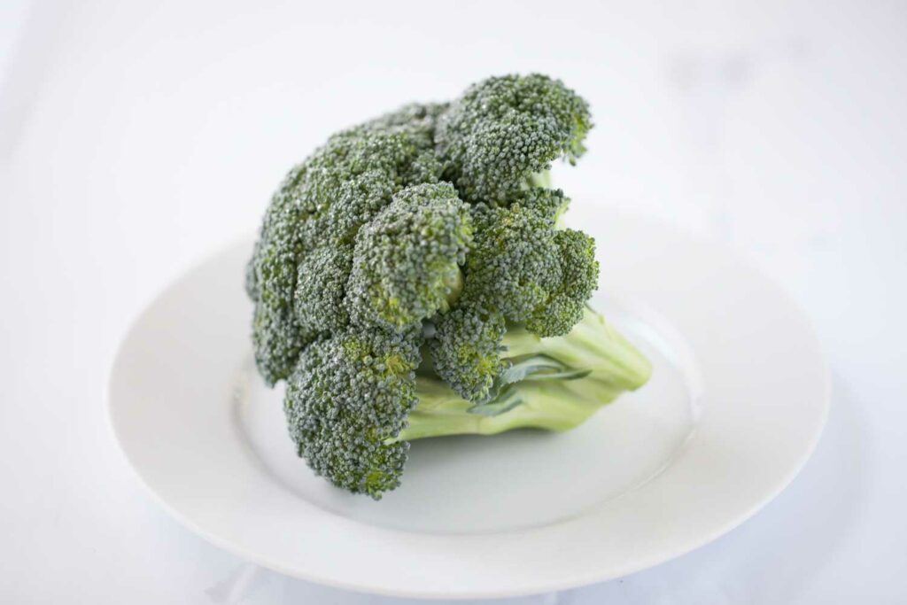 Een stronk broccoli op een bord