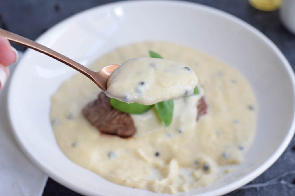 A spoon with low FODMAP peppercorn sauce