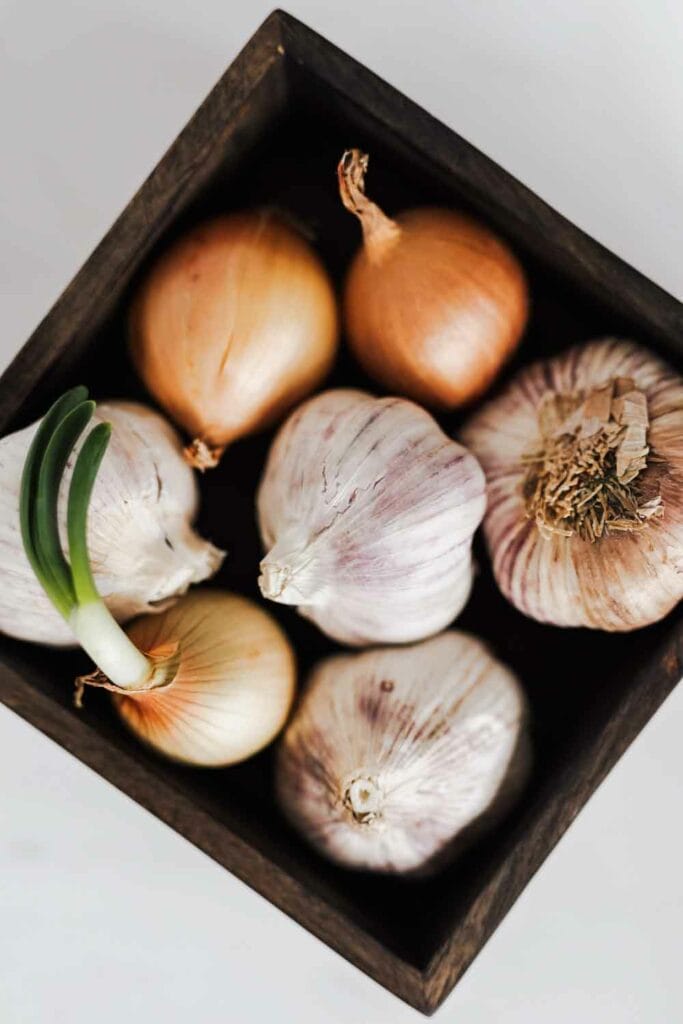 Onion and garlic on a serving platter